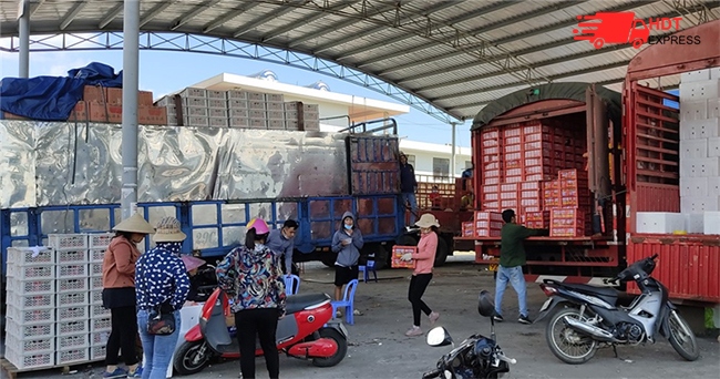 chuyển nhà hà nội hcm giá rẻ