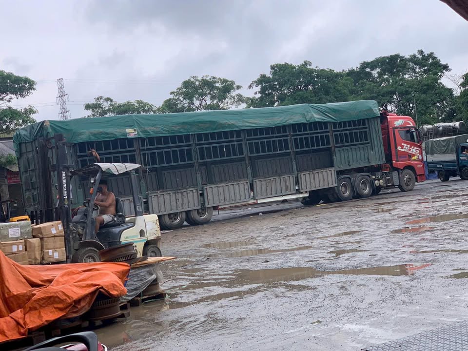 Quy trình bốc xếp, vận chuyển hàng hoá đà nẵng cần thơ
